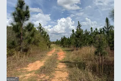 012 Barge Road, Lumpkin, GA 31815 - Photo 11