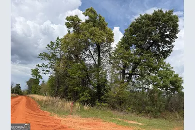 012 Barge Road, Lumpkin, GA 31815 - Photo 5