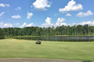 807 Teal Vista, Peachtree City, GA 30269 - Photo 131