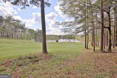 807 Teal Vista, Peachtree City, GA 30269 - Photo 109