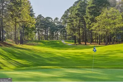1040 Spyglass Hill, Greensboro, GA 30642 - Photo 27