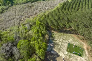 793 Springhaven Rd, Dexter, GA 31019 - Photo 47