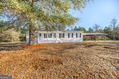 1153 Chester Alamo Road, Chester, GA 31012 - Photo 7