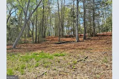 0 Broad River Road, Eastanollee, GA 30538 - Photo 5