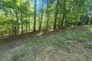 Lot 3 Meadow View Dr, Morganton, GA 30560 - Photo 1