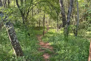 265 Center Park Ln, Athens, GA 30605 - Photo 23