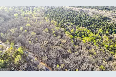 909 Weeding Cherry Drive, Waverly Hall, GA 31831 - Photo 11