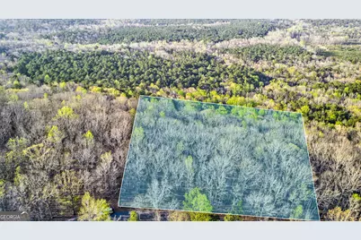 909 Weeding Cherry Drive, Waverly Hall, GA 31831 - Photo 3