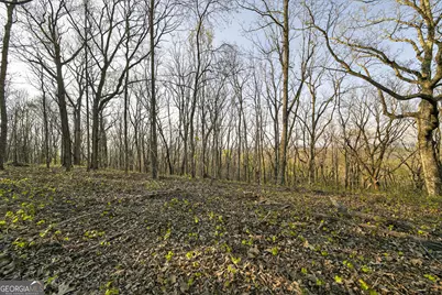 909 Weeding Cherry Drive, Waverly Hall, GA 31831 - Photo 5