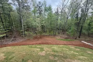 1031 Shadow Creek Way, Greensboro, GA 30642 - Photo 17