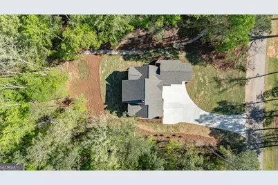 1031 Shadow Creek Way, Greensboro, GA 30642 - Photo 57