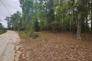 921 Deer River Road SE, Monroe, GA 30656 - Photo 19