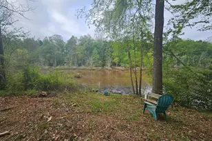 921 Deer River Road SE, Monroe, GA 30656 - Photo 17