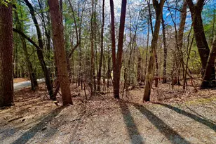 525 Camber Ct, Ellijay, GA 30540 - Photo 1