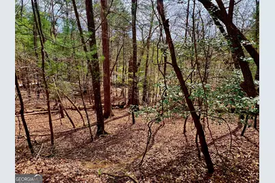 525 Camber Court, Ellijay, GA 30540 - Photo 19