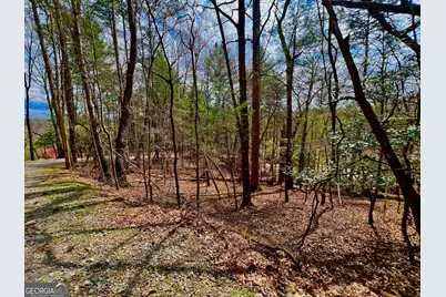 525 Camber Court, Ellijay, GA 30540 - Photo 21