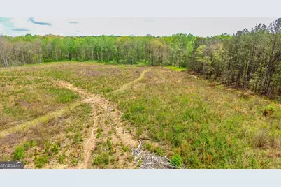 2185 Highway 85, Senoia, GA 30276 - Photo 9