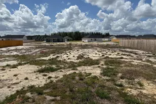 157 NE Deerfield Dr, Ludowici, GA 31316 - Photo 41