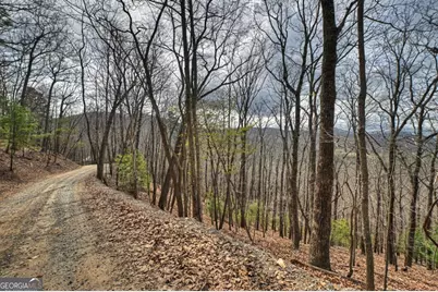 Lot 29 Forest Drive, Morganton, GA 30560 - Photo 7