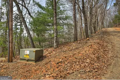 Lot 29 Forest Drive, Morganton, GA 30560 - Photo 13