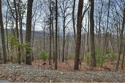 Lot 29 Forest Drive, Morganton, GA 30560 - Photo 9