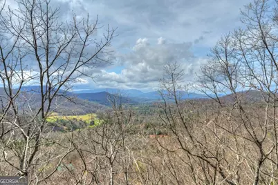 Lot 29 Forest Drive, Morganton, GA 30560 - Photo 3