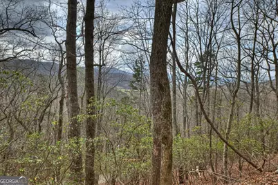 Lot 29 Forest Drive, Morganton, GA 30560 - Photo 17