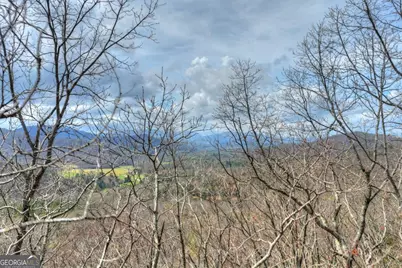 Lot 29 Forest Drive, Morganton, GA 30560 - Photo 19