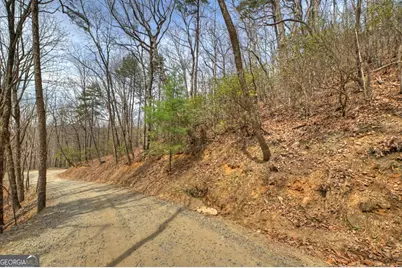 Lot 29 Forest Drive, Morganton, GA 30560 - Photo 11
