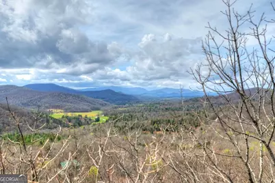 Lot 29 Forest Drive, Morganton, GA 30560 - Photo 21