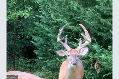 818 Ridgefield Drive, Peachtree City, GA 30269 - Photo 21