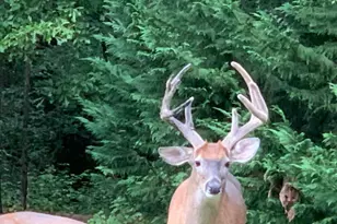 818 Ridgefield Dr, Peachtree City, GA 30269 - Photo 21