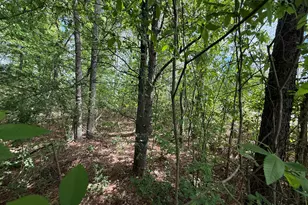 1868 Cedar Grove Rd, Conley, GA 30288 - Photo 1