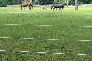 950 Island Shoals Rd, Jackson, GA 30233 - Photo 17