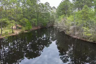 8433 Banks Dairy Rd, Statesboro, GA 30458 - Photo 11