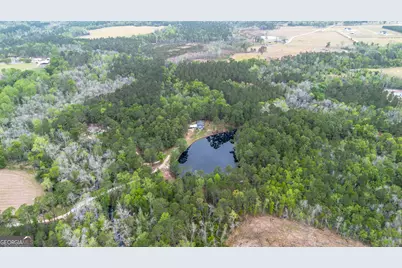 8433 Banks Dairy Road, Statesboro, GA 30458 - Photo 7