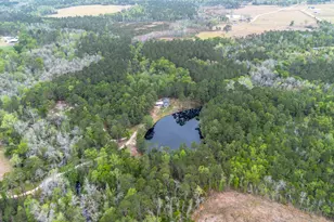 8433 Banks Dairy Rd, Statesboro, GA 30458 - Photo 7