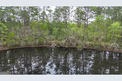 8433 Banks Dairy Road, Statesboro, GA 30458 - Photo 15