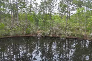 8433 Banks Dairy Rd, Statesboro, GA 30458 - Photo 15