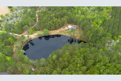 8433 Banks Dairy Road, Statesboro, GA 30458 - Photo 3