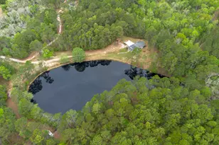 8433 Banks Dairy Rd, Statesboro, GA 30458 - Photo 3