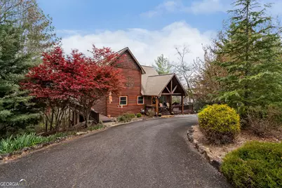 283 Black Gum Lane, Blue Ridge, GA 30513 - Photo 55