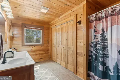 283 Black Gum Lane, Blue Ridge, GA 30513 - Photo 29