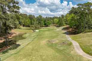 1080 Quail Ridge Way, Greensboro, GA 30642 - Photo 59