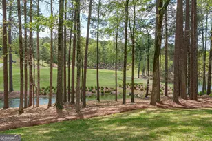 1080 Quail Ridge Way, Greensboro, GA 30642 - Photo 57