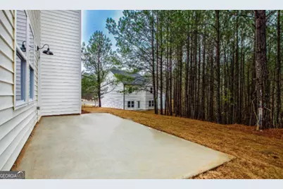 87 Mineral Springs Lane, Newnan, GA 30263 - Photo 37