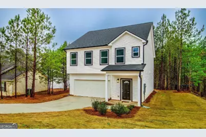 87 Mineral Springs Lane, Newnan, GA 30263 - Photo 3