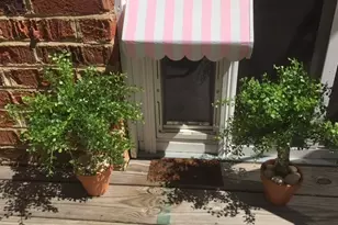 101 Middleton Ct, Athens, GA 30606 - Photo 51