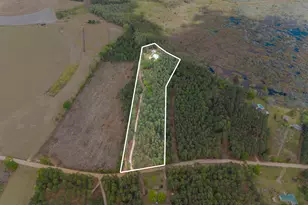 2200 Kennedy Pond Rd, Statesboro, GA 30458 - Photo 35