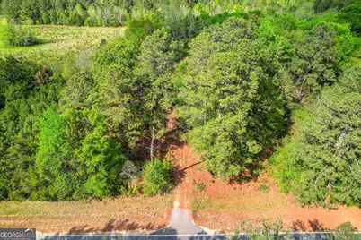 6995 Cobbham Road, Applin, GA 30802 - Photo 3